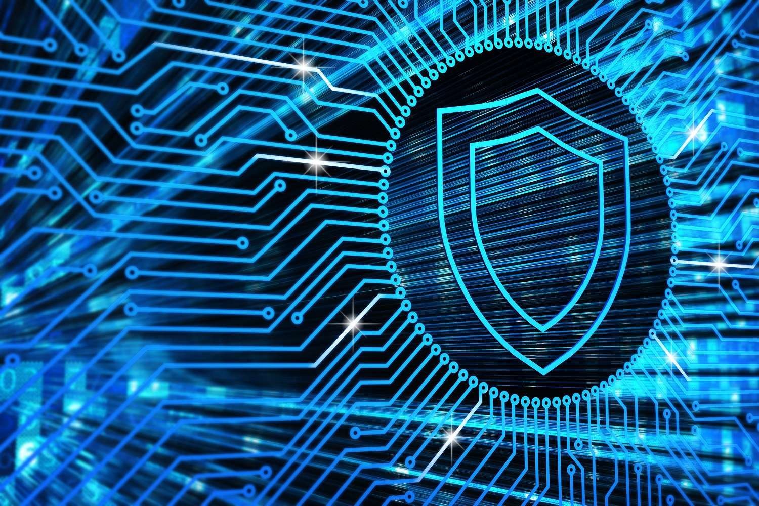 Предложение об обучении по направлению подготовки «Информационная безопасность».