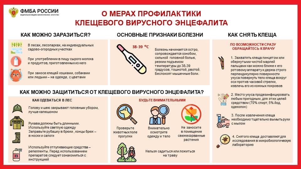 Профилактика клещевого энцефалита.